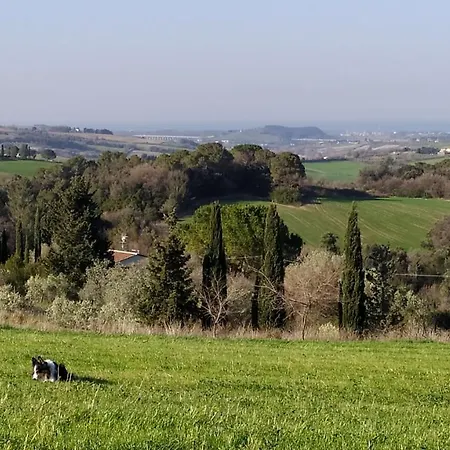 Macchia Al Pino Pomaia