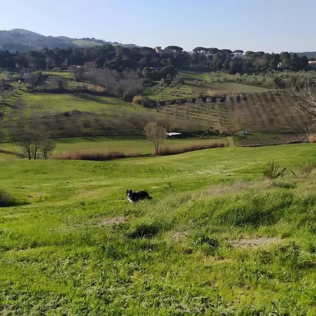 Farm stay Macchia Al Pino *