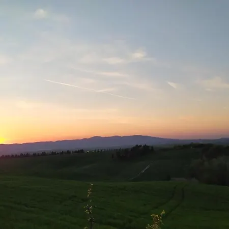 Macchia Al Pino *