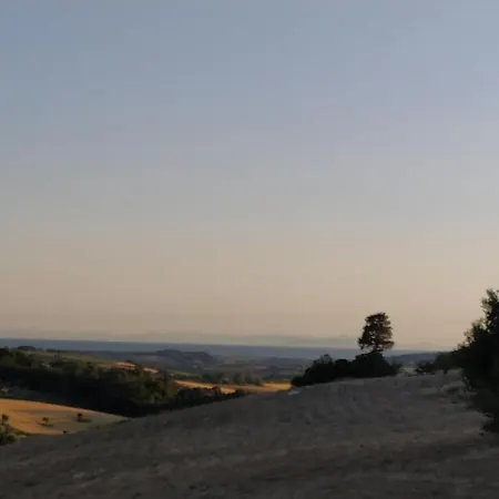 Macchia Al Pino Farm stay Pomaia