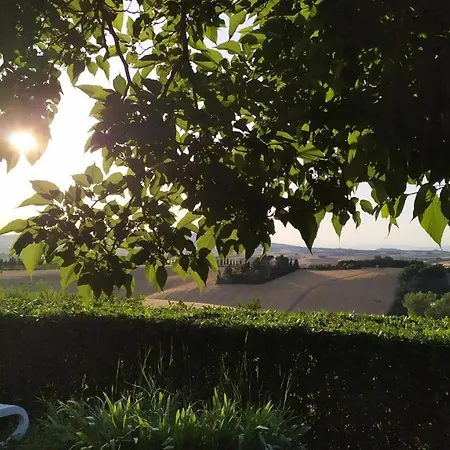 Macchia Al Pino