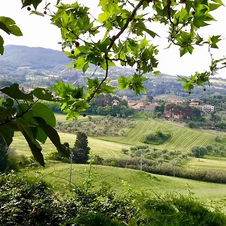 Macchia Al Pino Farm stay