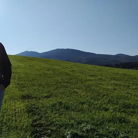 Bauernhof Macchia Al Pino Pomaia