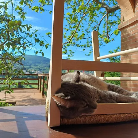 Macchia Al Pino Farm stay Pomaia